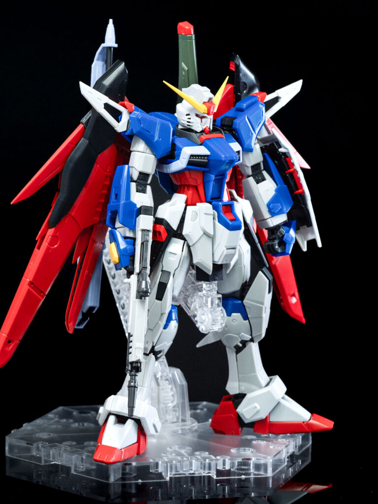 RGデスティニーガンダム全身2